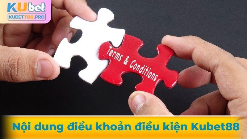 Nội dung điều khoản điều kiện Kubet88